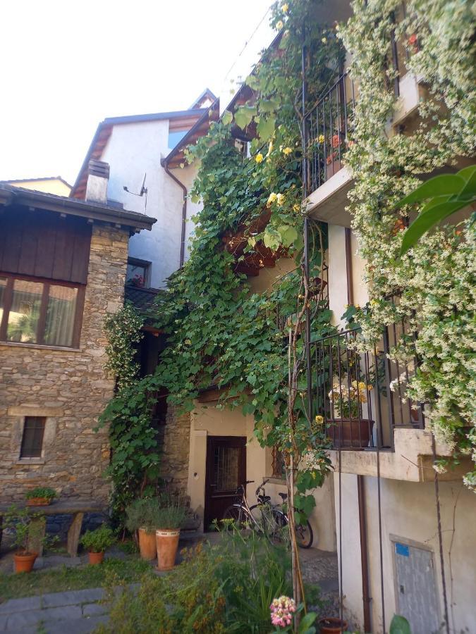 Apartamento La Ticinella Losone Exterior foto